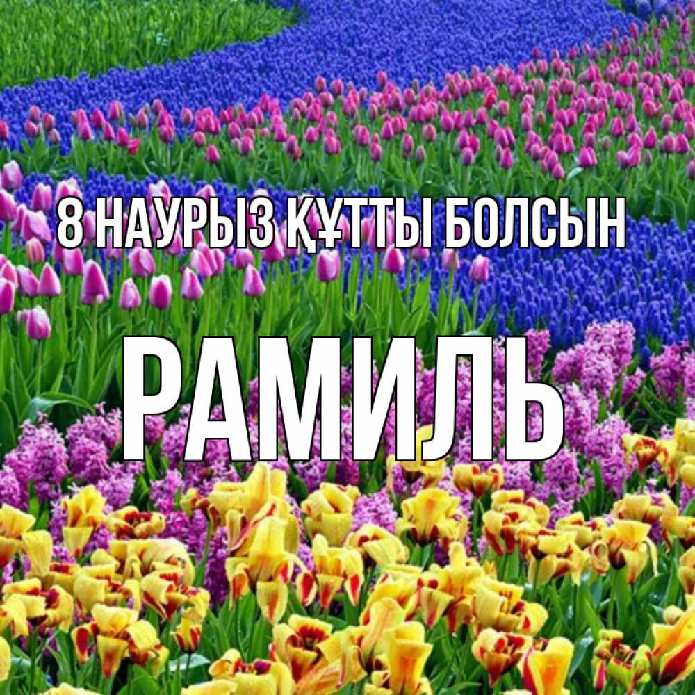 Күн сайын ашық хат с именем, Рамиль 8 наурыз құтты болсын цветы Онлайн тегін жүктеп алу тілектері бар керемет карта 