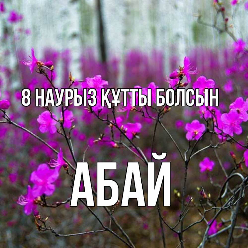 Күн сайын ашық хат с именем, Абай 8 наурыз құтты болсын дикие цветы Онлайн тегін жүктеп алу тілектері бар керемет карта 