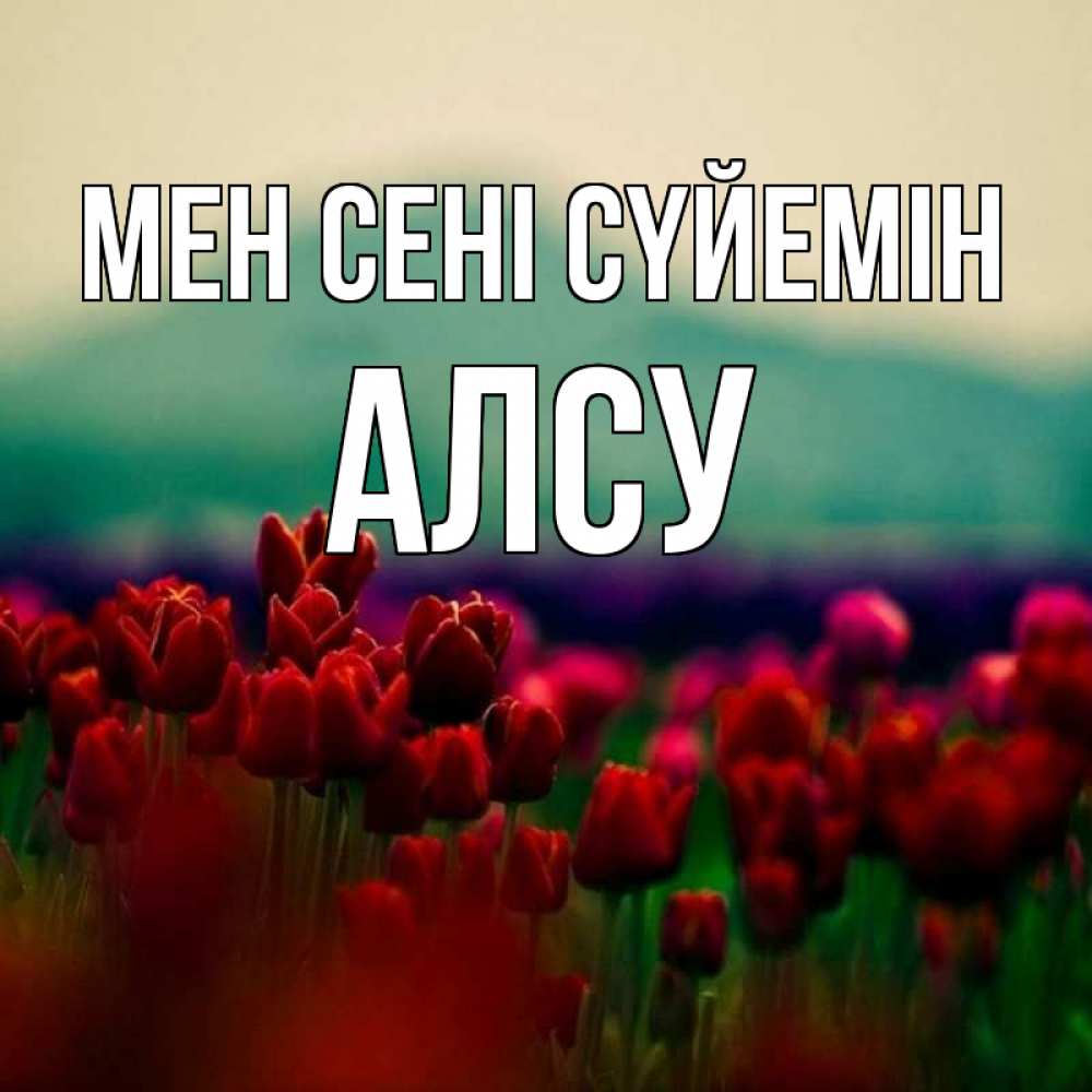 Күн сайын ашық хат с именем, Алсу Мен сені сүйемін тюльпаны 4 Онлайн тегін жүктеп алу тілектері бар керемет карта 