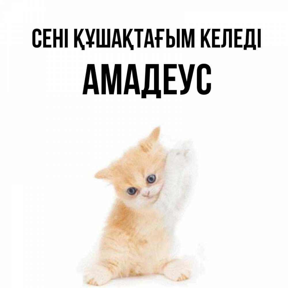 Күн сайын ашық хат с именем, Амадеус сені құшақтағым келеді я хочу очень скорее обнимаешек Онлайн тегін жүктеп алу тілектері бар керемет карта 