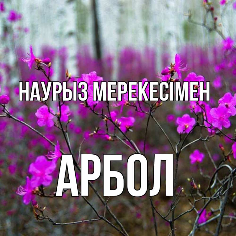 Күн сайын ашық хат с именем, Арбол Наурыз мерекесімен дикие цветы Онлайн тегін жүктеп алу тілектері бар керемет карта 