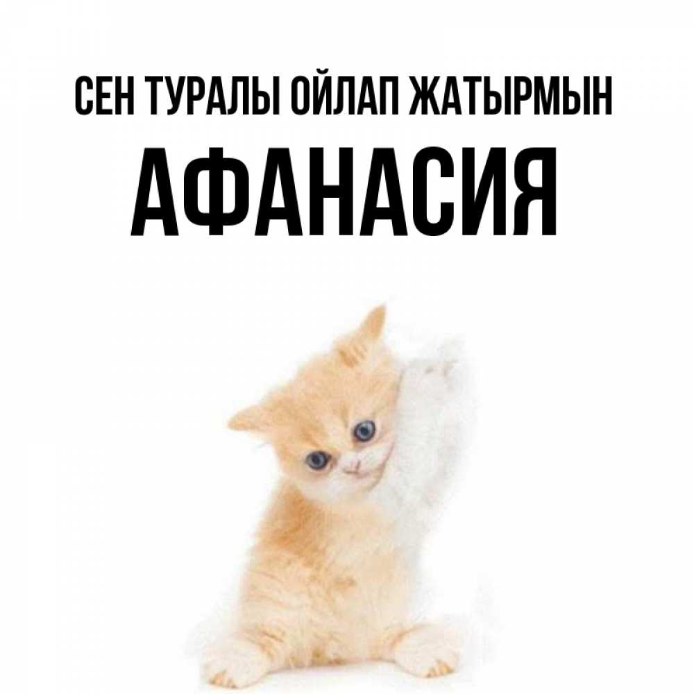 Күн сайын ашық хат с именем, Афанасия Сен туралы ойлап жатырмын зверушки и милота Онлайн тегін жүктеп алу тілектері бар керемет карта 