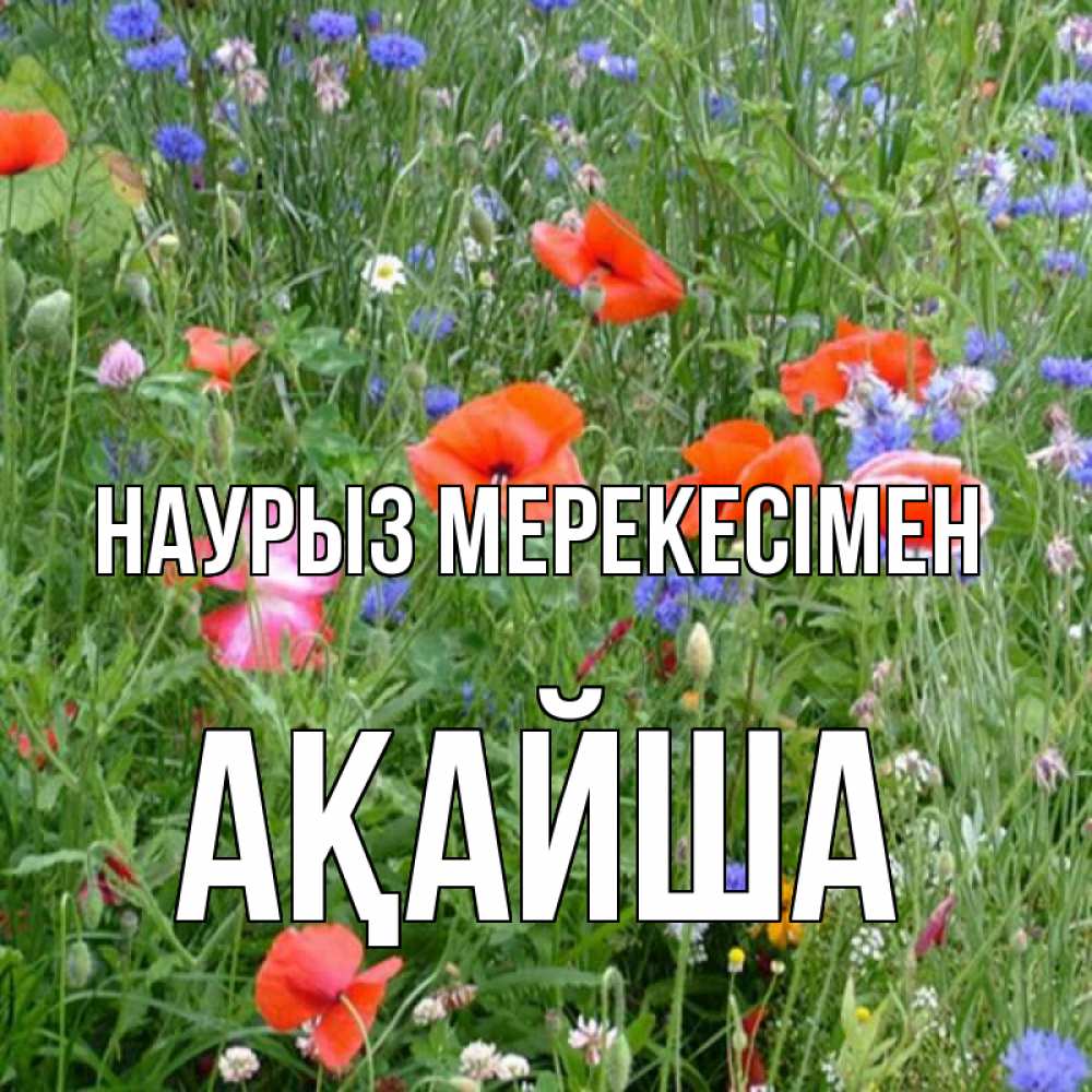 Күн сайын ашық хат с именем, АҚАЙША Наурыз мерекесімен праздник весны наурыз супер открытка Онлайн тегін жүктеп алу тілектері бар керемет карта 