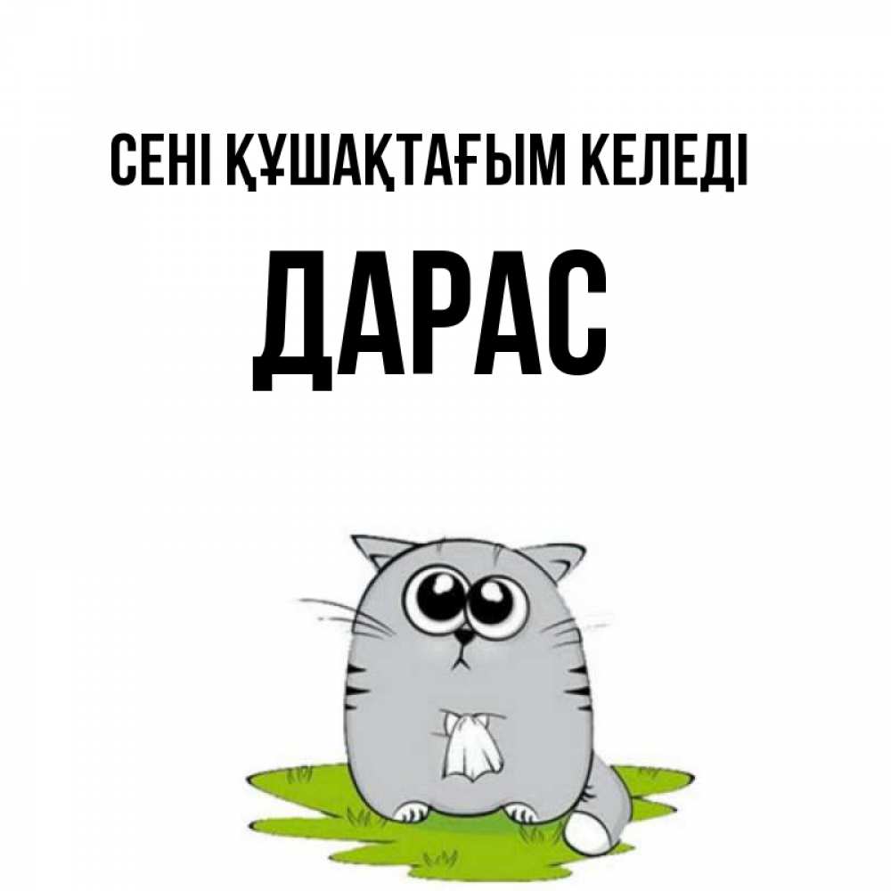 Күн сайын ашық хат с именем, Дарас сені құшақтағым келеді котик теребит платочек сидя на травке Онлайн тегін жүктеп алу тілектері бар керемет карта 