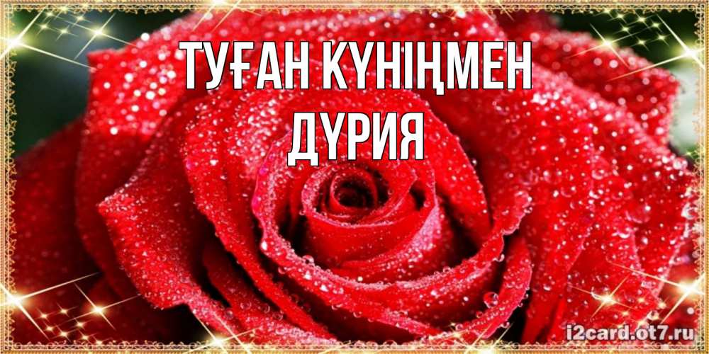 Күн сайын ашық хат с именем, ДҮРИЯ Туған күніңмен роса и роза. открытка с красивой розой Онлайн тегін жүктеп алу тілектері бар керемет карта 