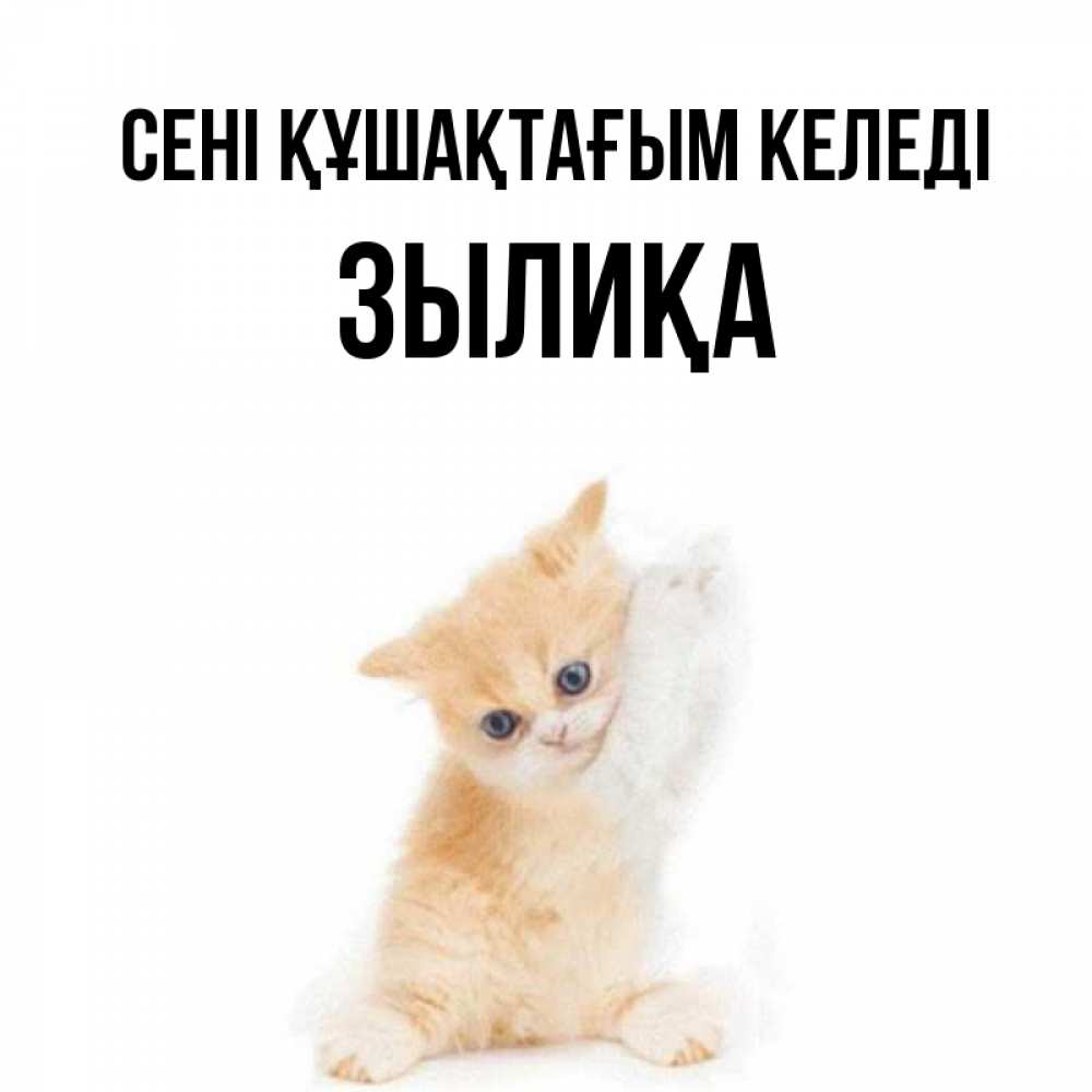 Күн сайын ашық хат с именем, ЗЫЛИҚА сені құшақтағым келеді я хочу очень скорее обнимаешек Онлайн тегін жүктеп алу тілектері бар керемет карта 