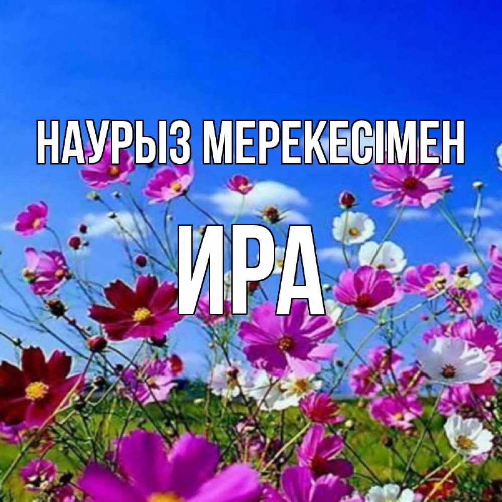 Күн сайын ашық хат с именем, Ира Наурыз мерекесімен цветы Онлайн тегін жүктеп алу тілектері бар керемет карта 