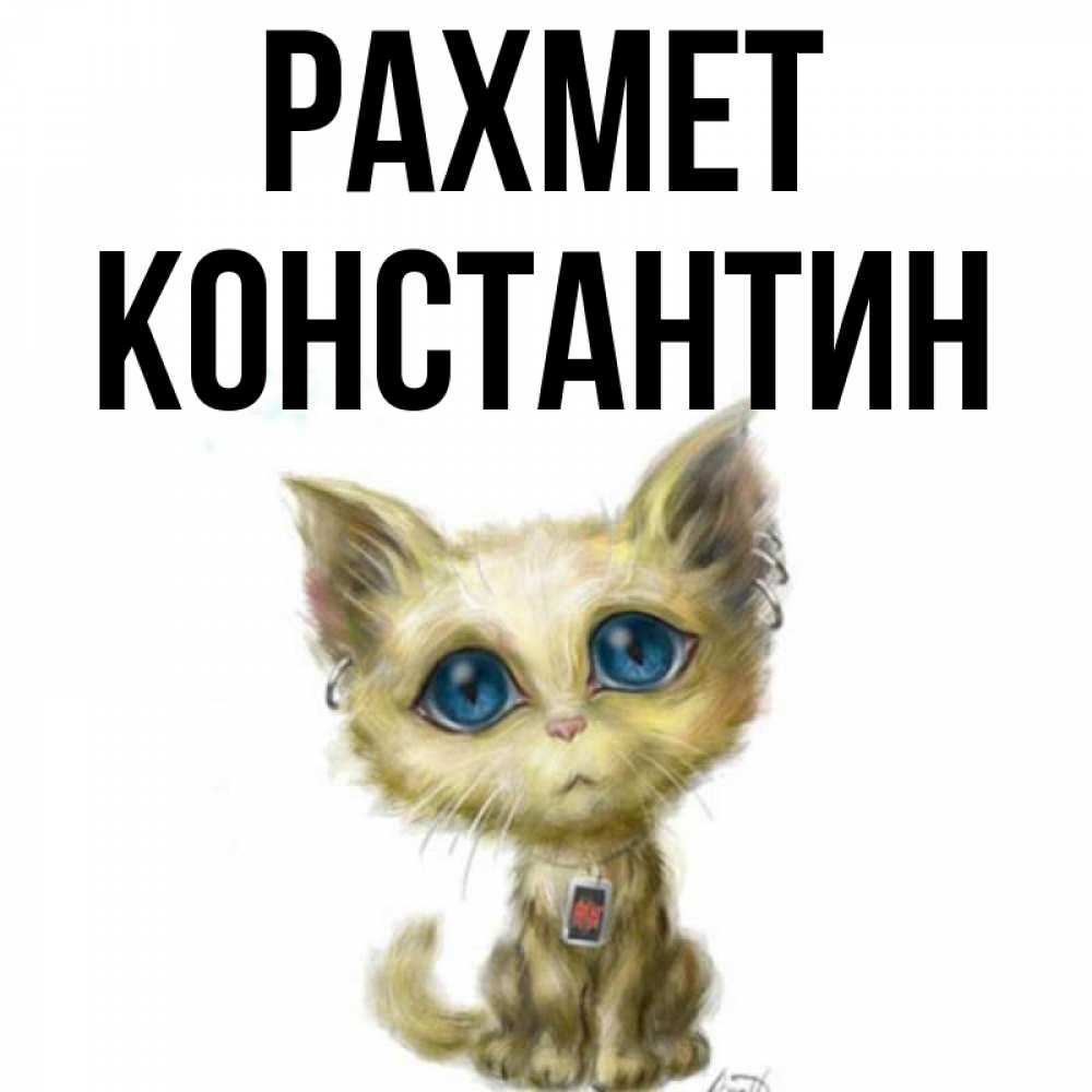Күн сайын ашық хат с именем, Константин рахмет рисованный кот благодарит вас Онлайн тегін жүктеп алу тілектері бар керемет карта 