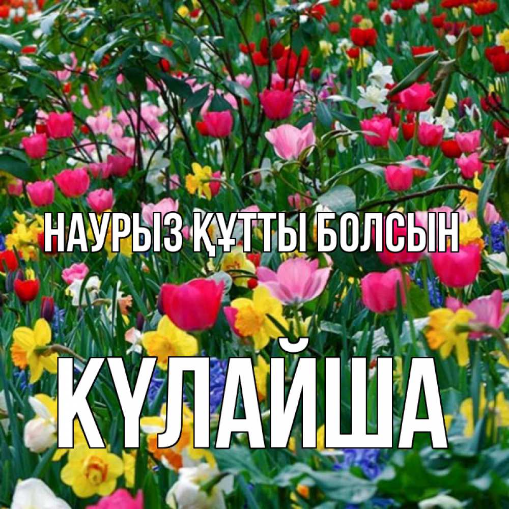 Күн сайын ашық хат с именем, КҮЛАЙША Наурыз құтты болсын с наурызом поздравления для женщины Онлайн тегін жүктеп алу тілектері бар керемет карта 