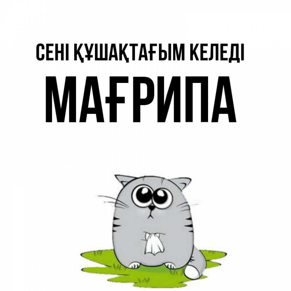 Күн сайын ашық хат с именем, МАҒРИПА сені құшақтағым келеді котик теребит платочек сидя на травке Онлайн тегін жүктеп алу тілектері бар керемет карта 