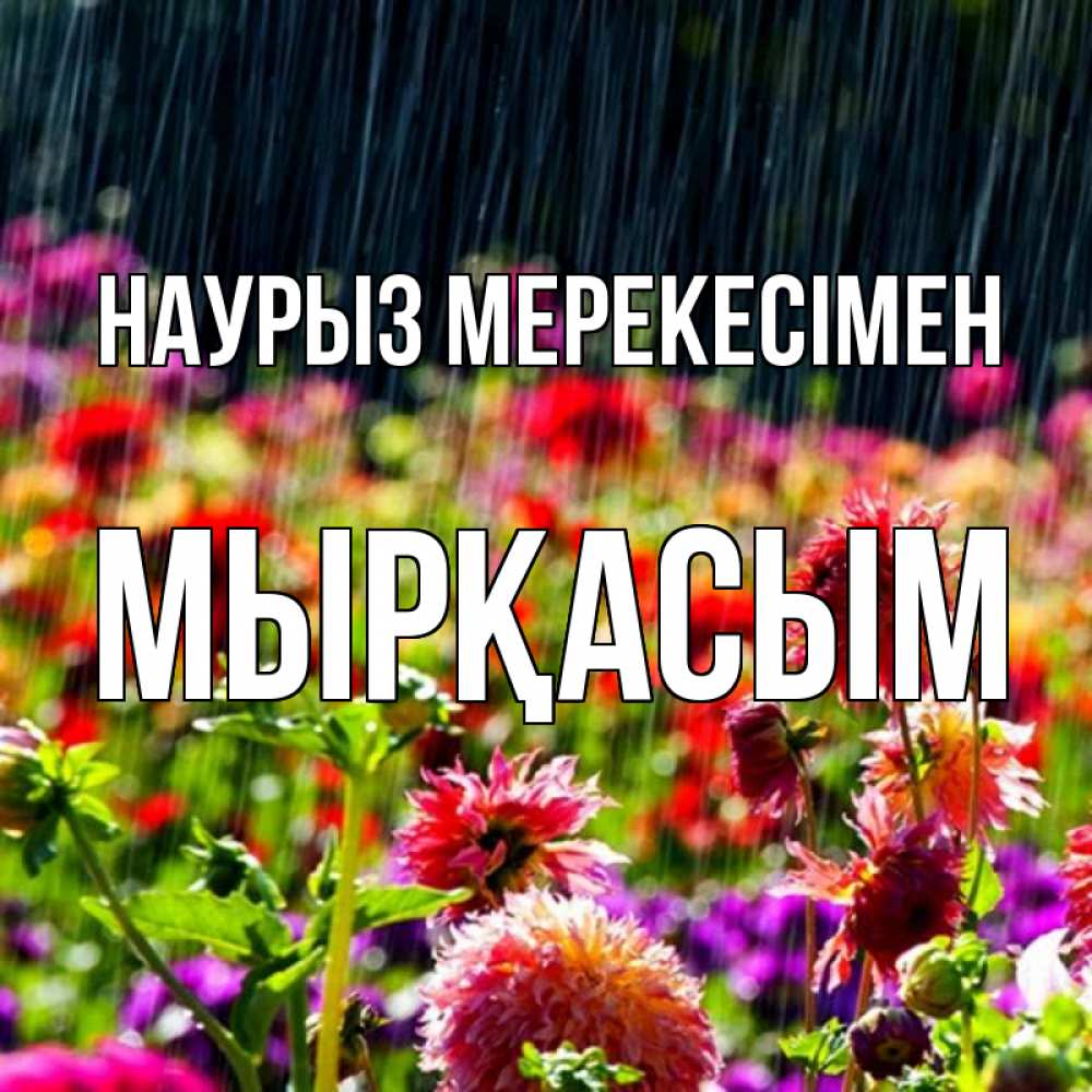 Күн сайын ашық хат с именем, МЫРҚАСЫМ Наурыз мерекесімен цветы под дождиком к международному женскому дню Онлайн тегін жүктеп алу тілектері бар керемет карта 