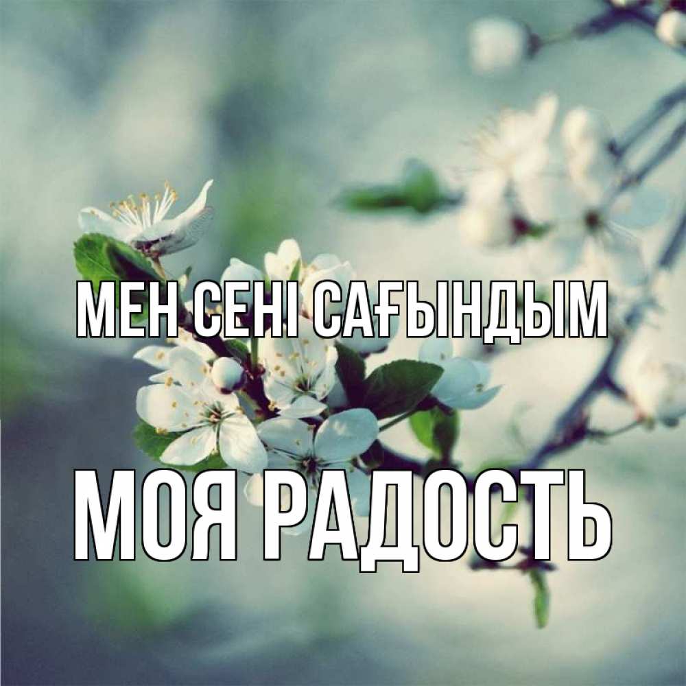 Күн сайын ашық хат с именем, Моя-радость Мен сені сағындым весна Онлайн тегін жүктеп алу тілектері бар керемет карта 