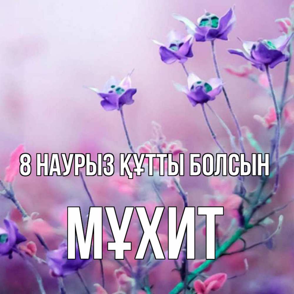 Күн сайын ашық хат с именем, МҰХИТ 8 наурыз құтты болсын международный женский день 2 Онлайн тегін жүктеп алу тілектері бар керемет карта 