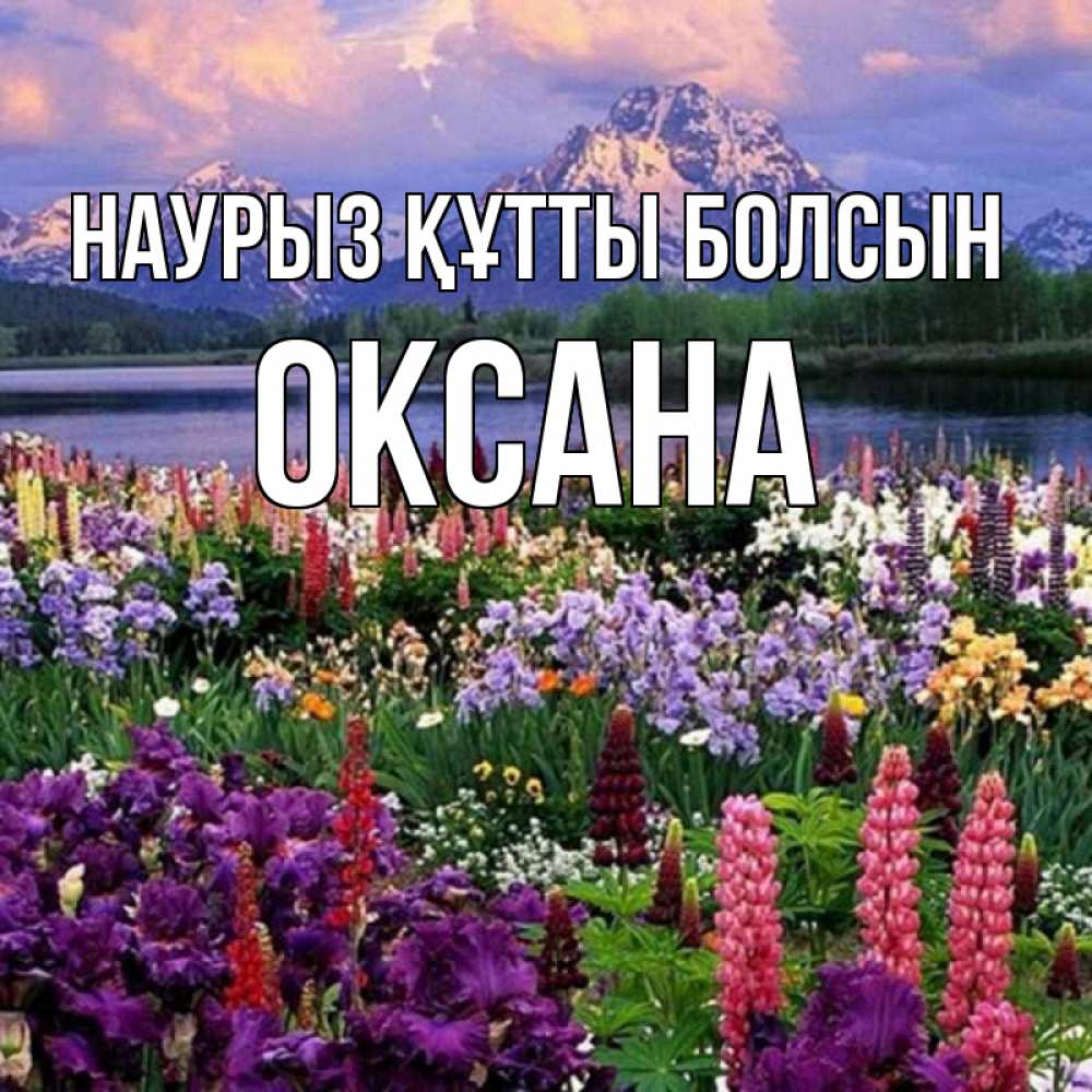 Күн сайын ашық хат с именем, Оксана Наурыз құтты болсын наурыз Онлайн тегін жүктеп алу тілектері бар керемет карта 