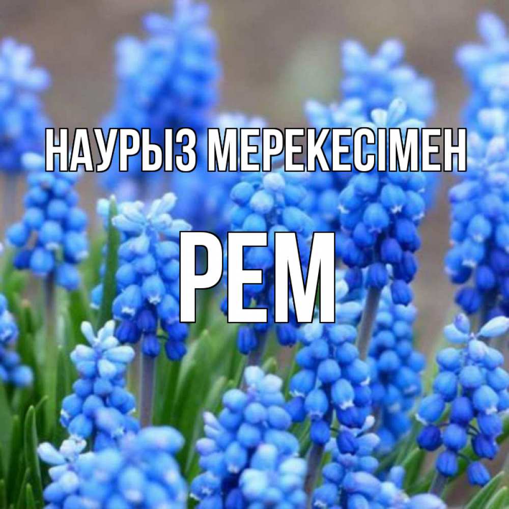 Күн сайын ашық хат с именем, Рем Наурыз мерекесімен Поздравительная открытка для женщин с цветами на праздничную дату Онлайн тегін жүктеп алу тілектері бар керемет карта 