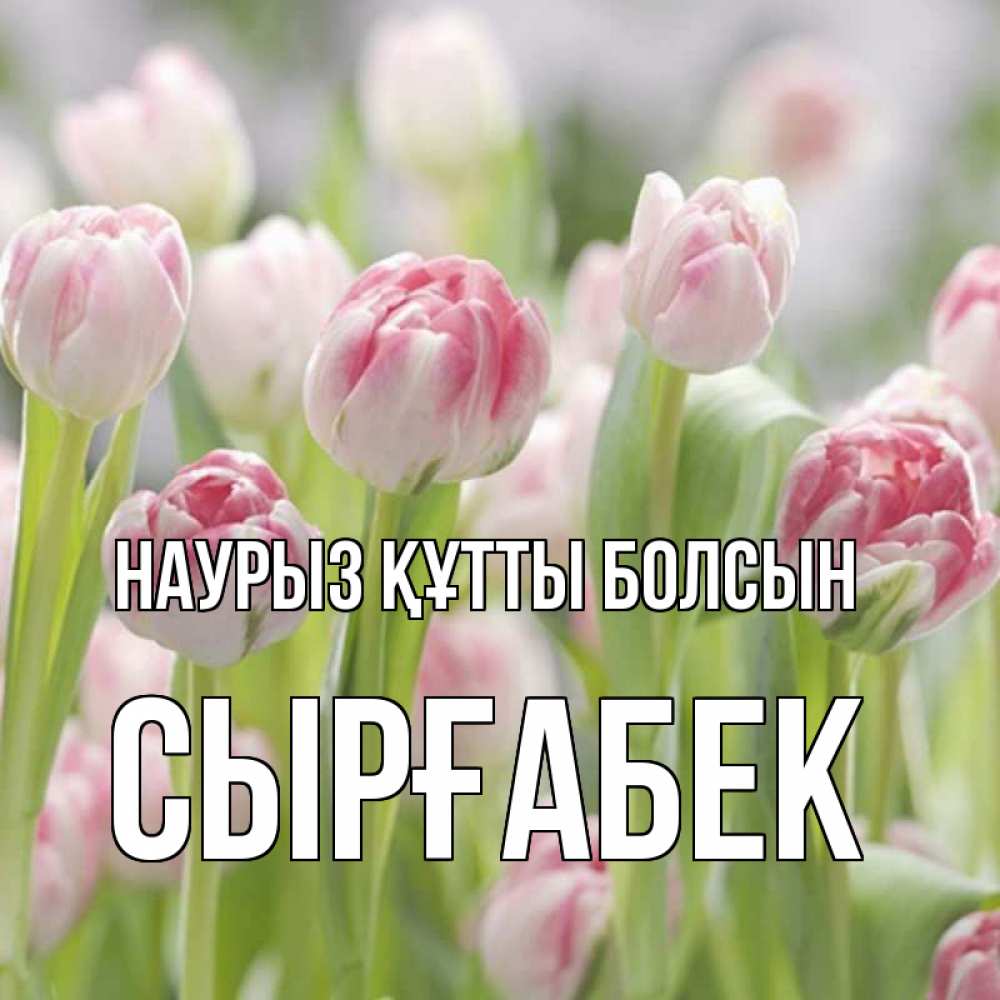 Күн сайын ашық хат с именем, СЫРҒАБЕК Наурыз құтты болсын цветы Онлайн тегін жүктеп алу тілектері бар керемет карта 