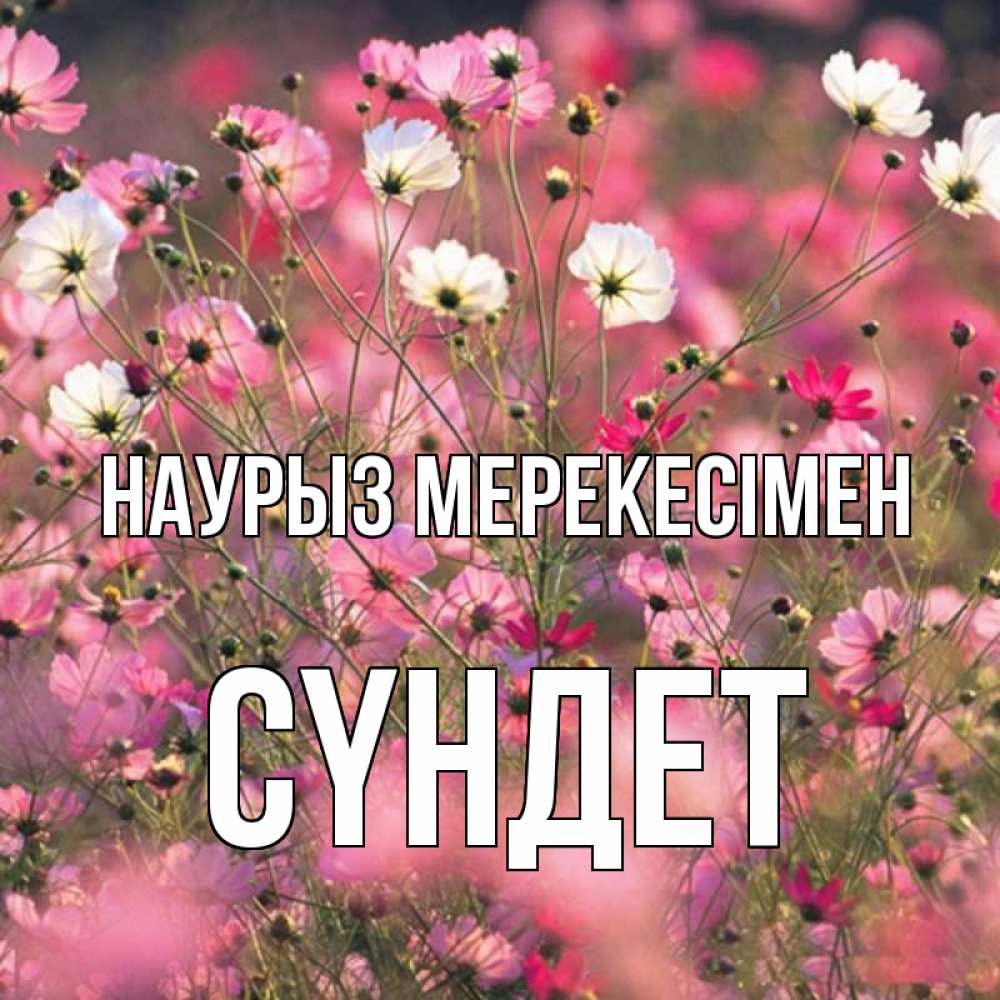 Күн сайын ашық хат с именем, СҮНДЕТ Наурыз мерекесімен красиво 1 Онлайн тегін жүктеп алу тілектері бар керемет карта 