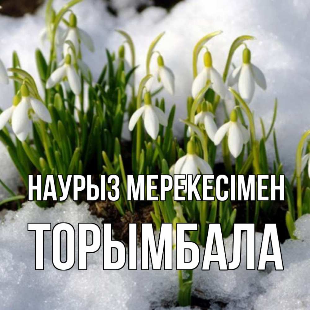Күн сайын ашық хат с именем, ТОРЫМБАЛА Наурыз мерекесімен цветы весенние Онлайн тегін жүктеп алу тілектері бар керемет карта 