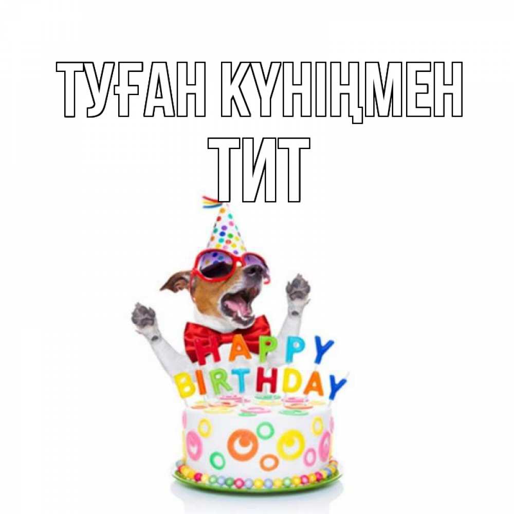 Күн сайын ашық хат с именем, Тит Туған күніңмен тортик Онлайн тегін жүктеп алу тілектері бар керемет карта 