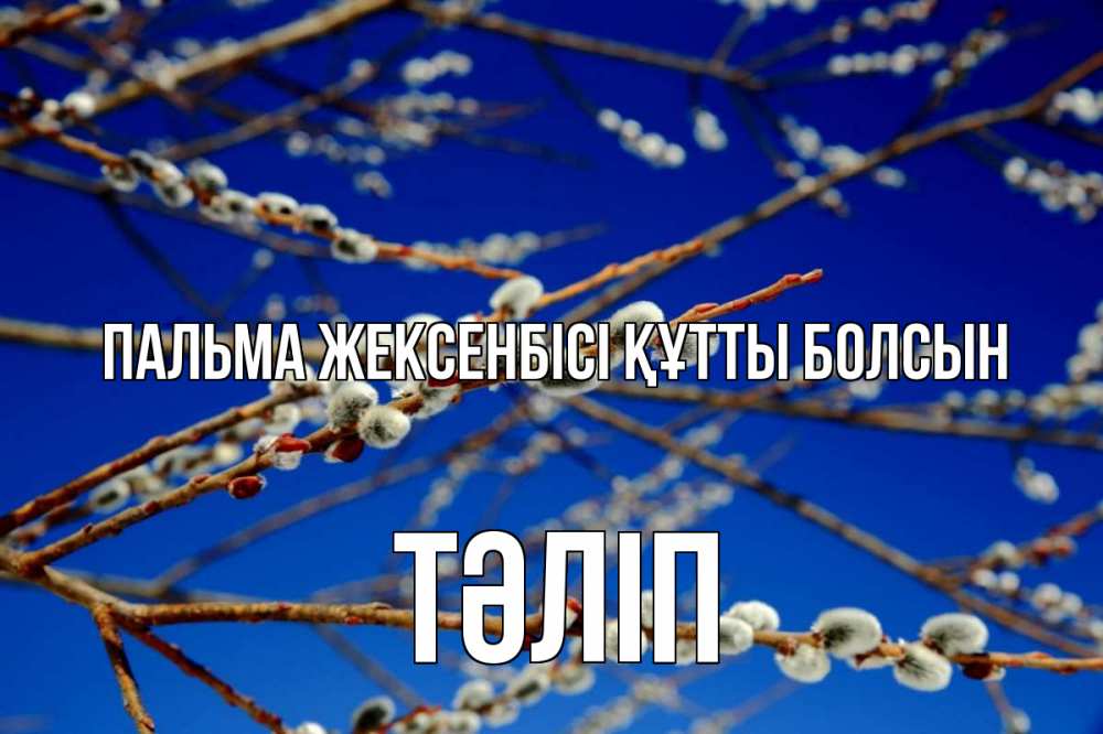Күн сайын ашық хат с именем, ТӘЛІП Пальма жексенбісі құтты болсын верба Онлайн тегін жүктеп алу тілектері бар керемет карта 
