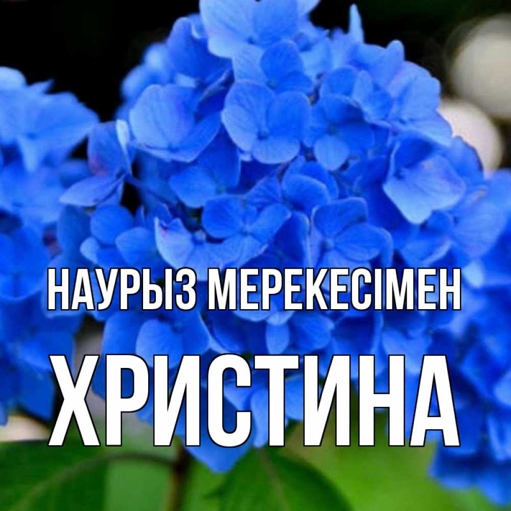 Күн сайын ашық хат с именем, Христина Наурыз мерекесімен синие цветы Онлайн тегін жүктеп алу тілектері бар керемет карта 