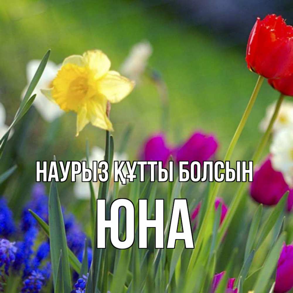 Күн сайын ашық хат с именем, Юна Наурыз құтты болсын наурыз  3 открытки Онлайн тегін жүктеп алу тілектері бар керемет карта 