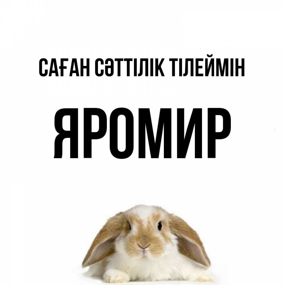 Күн сайын ашық хат с именем, Яромир Саған сәттілік тілеймін открытки с произвольным текстом который можно вставить в открытку и создать ее самостоятельно бесплатно онлайн Онлайн тегін жүктеп алу тілектері бар керемет карта 