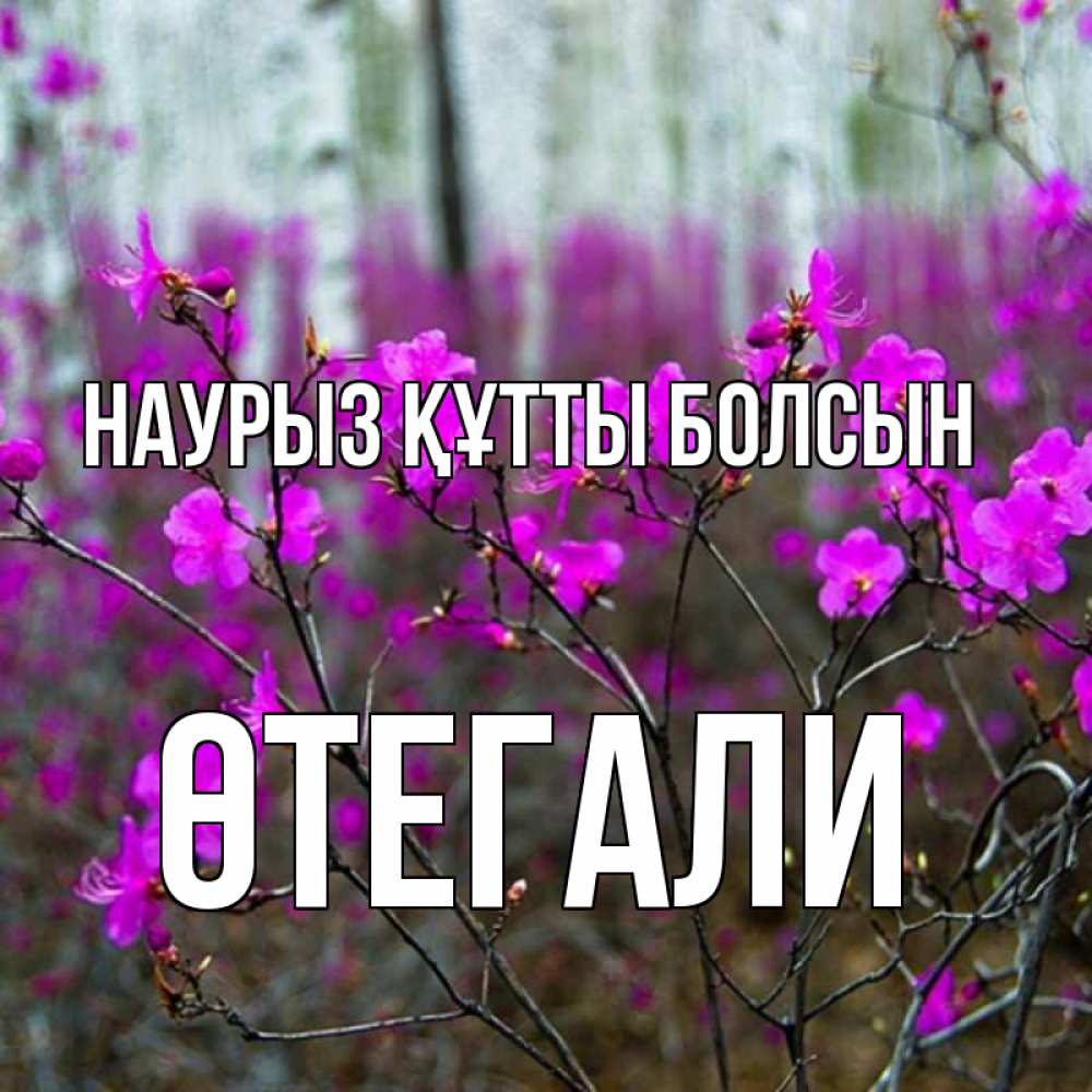 Күн сайын ашық хат с именем, ӨТЕГАЛИ Наурыз құтты болсын дикие цветы Онлайн тегін жүктеп алу тілектері бар керемет карта 