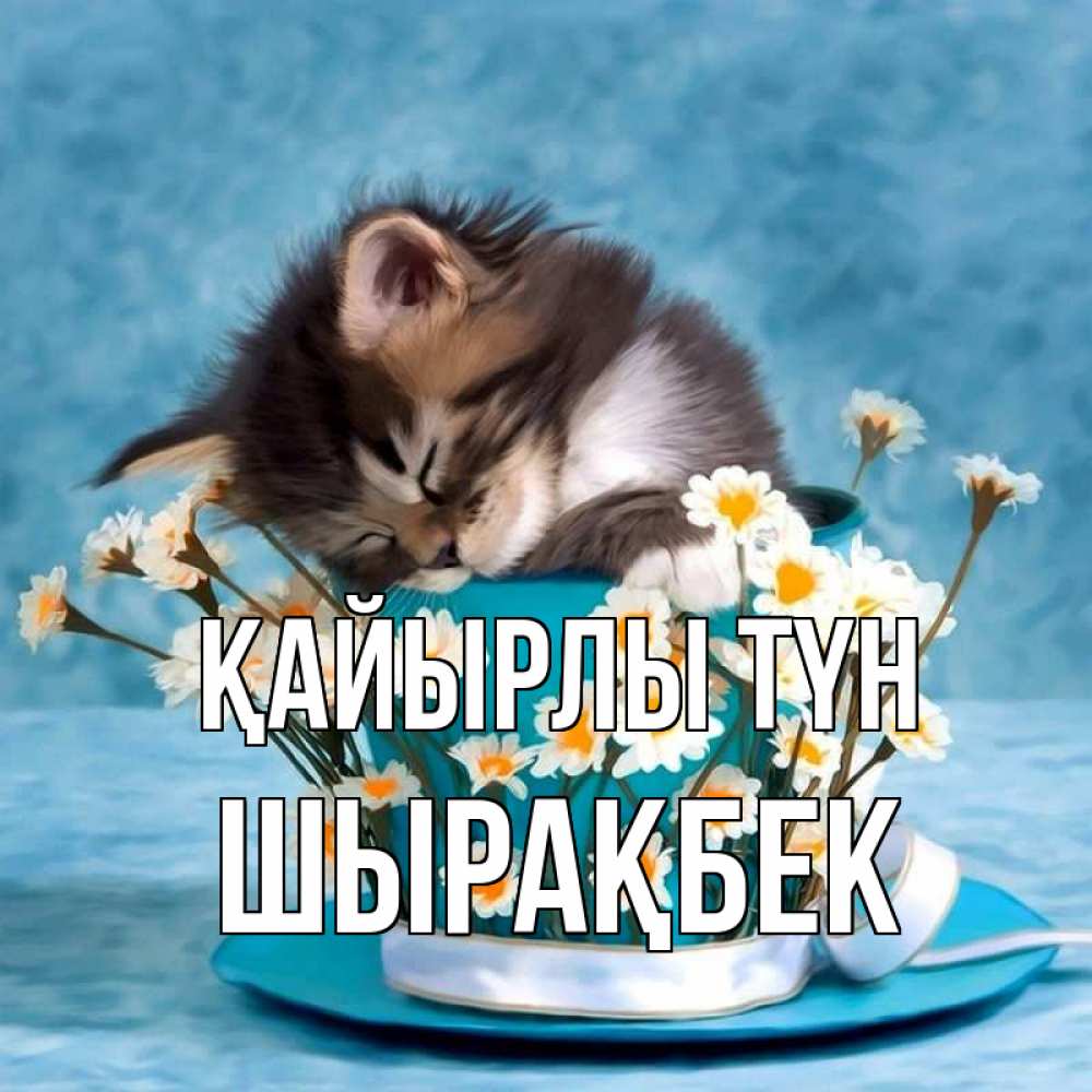 Күн сайын ашық хат с именем, ШЫРАҚБЕК Қайырлы түн котенок спит в кружке с блюдцем Онлайн тегін жүктеп алу тілектері бар керемет карта 