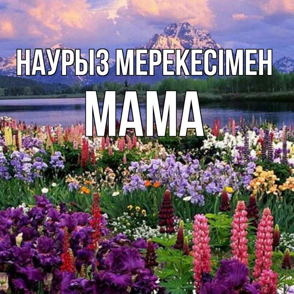 Күн сайын ашық хат с именем, Мама Наурыз мерекесімен праздник весны наурыз Онлайн тегін жүктеп алу тілектері бар керемет карта 