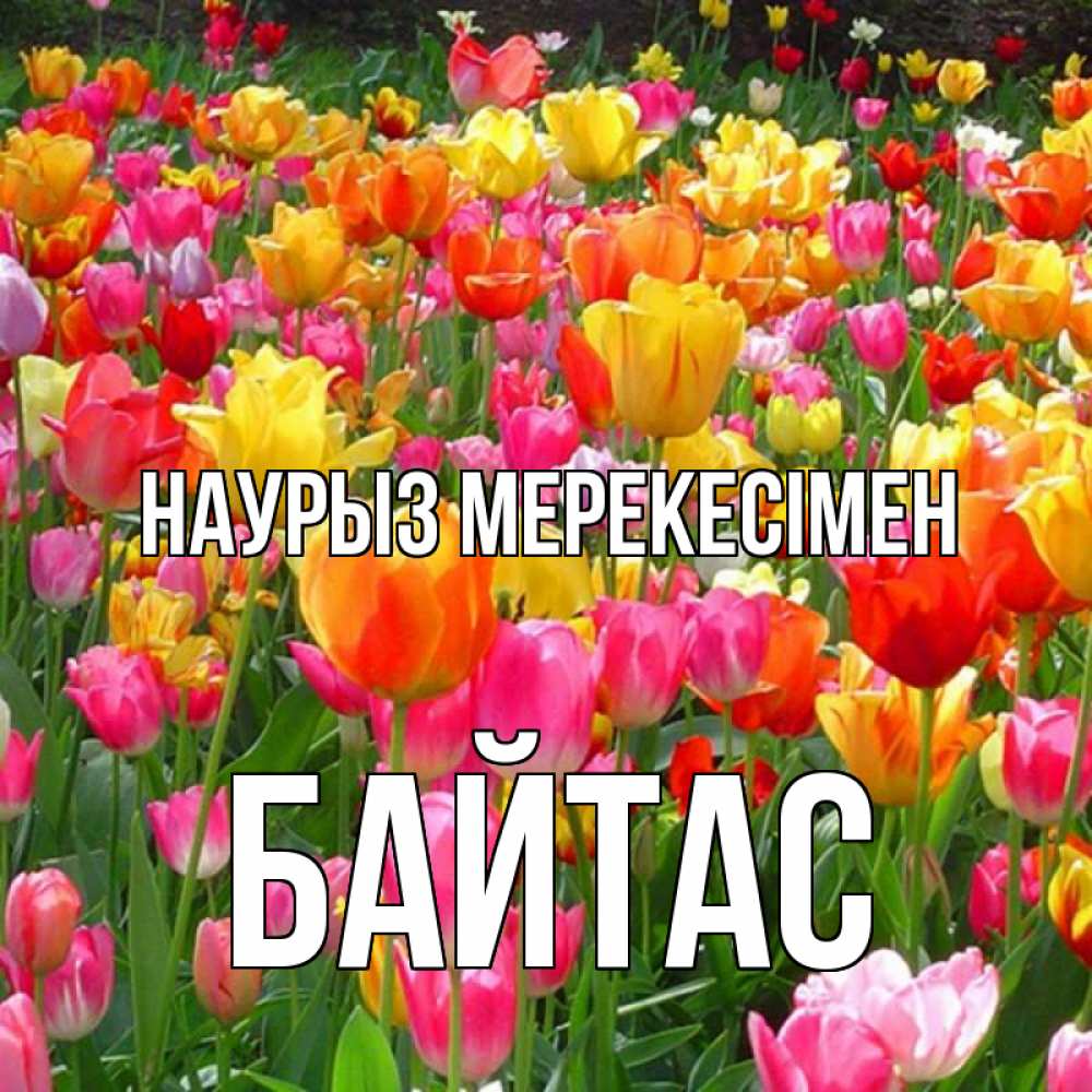 Күн сайын ашық хат с именем, Байтас Наурыз мерекесімен праздник весны наурыз 4 Онлайн тегін жүктеп алу тілектері бар керемет карта 