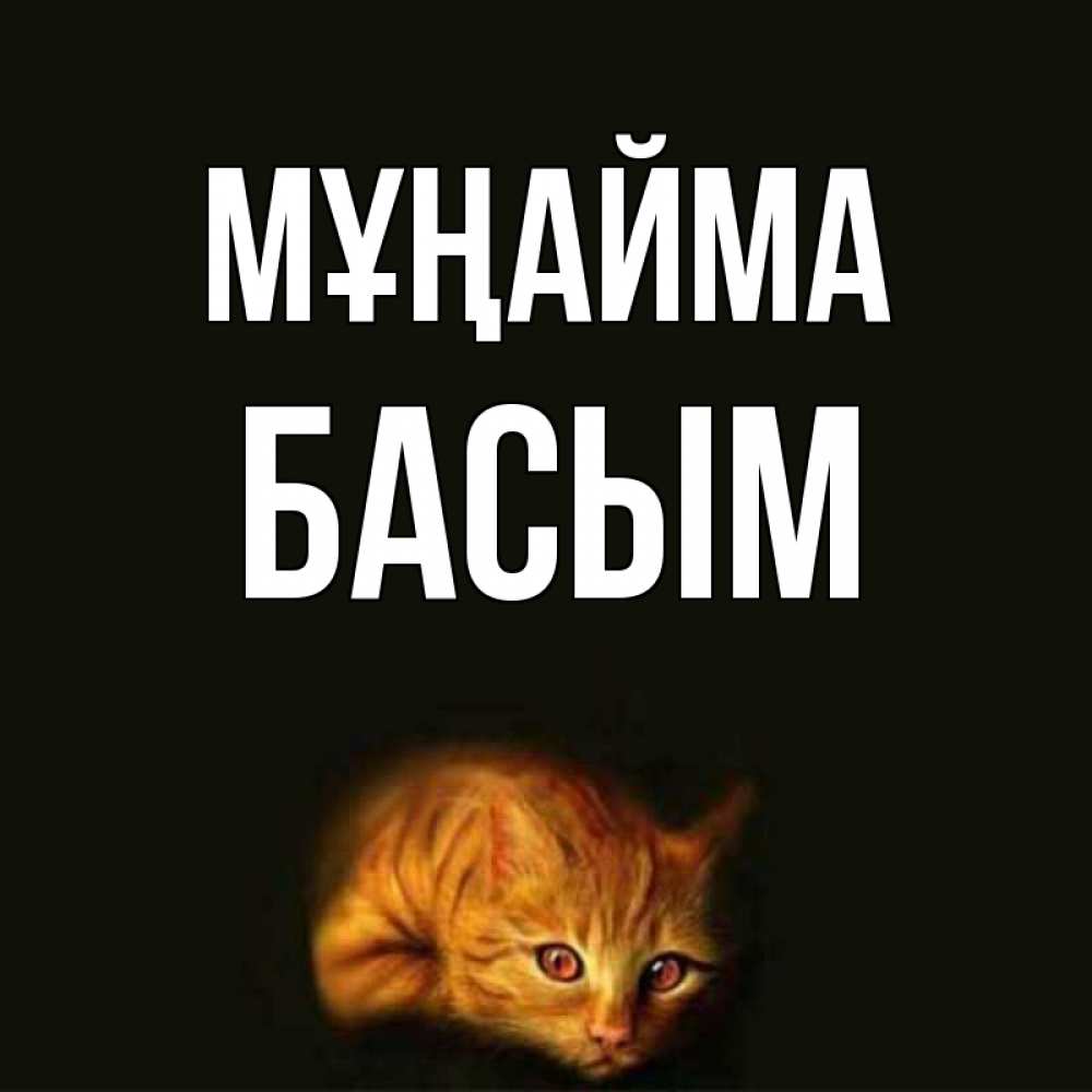 Күн сайын ашық хат с именем, Басым Мұңайма лежащий кот в темноте Онлайн тегін жүктеп алу тілектері бар керемет карта 