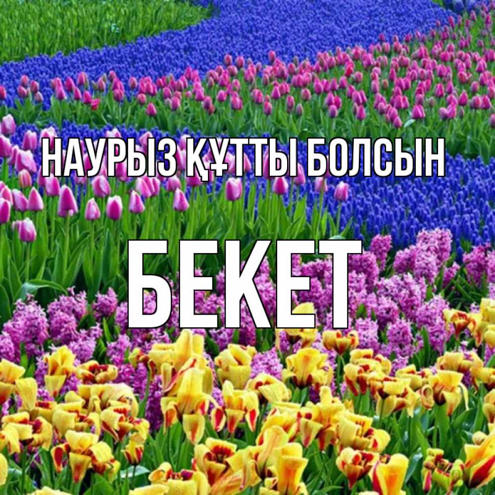 Күн сайын ашық хат с именем, Бекет Наурыз құтты болсын цветы Онлайн тегін жүктеп алу тілектері бар керемет карта 