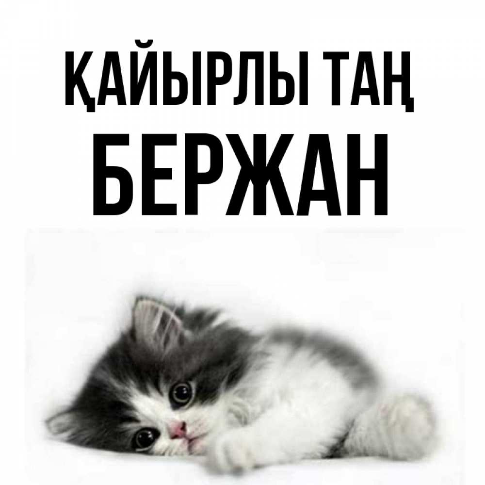 Күн сайын ашық хат с именем, Бержан Қайырлы таң кот лапки Онлайн тегін жүктеп алу тілектері бар керемет карта 