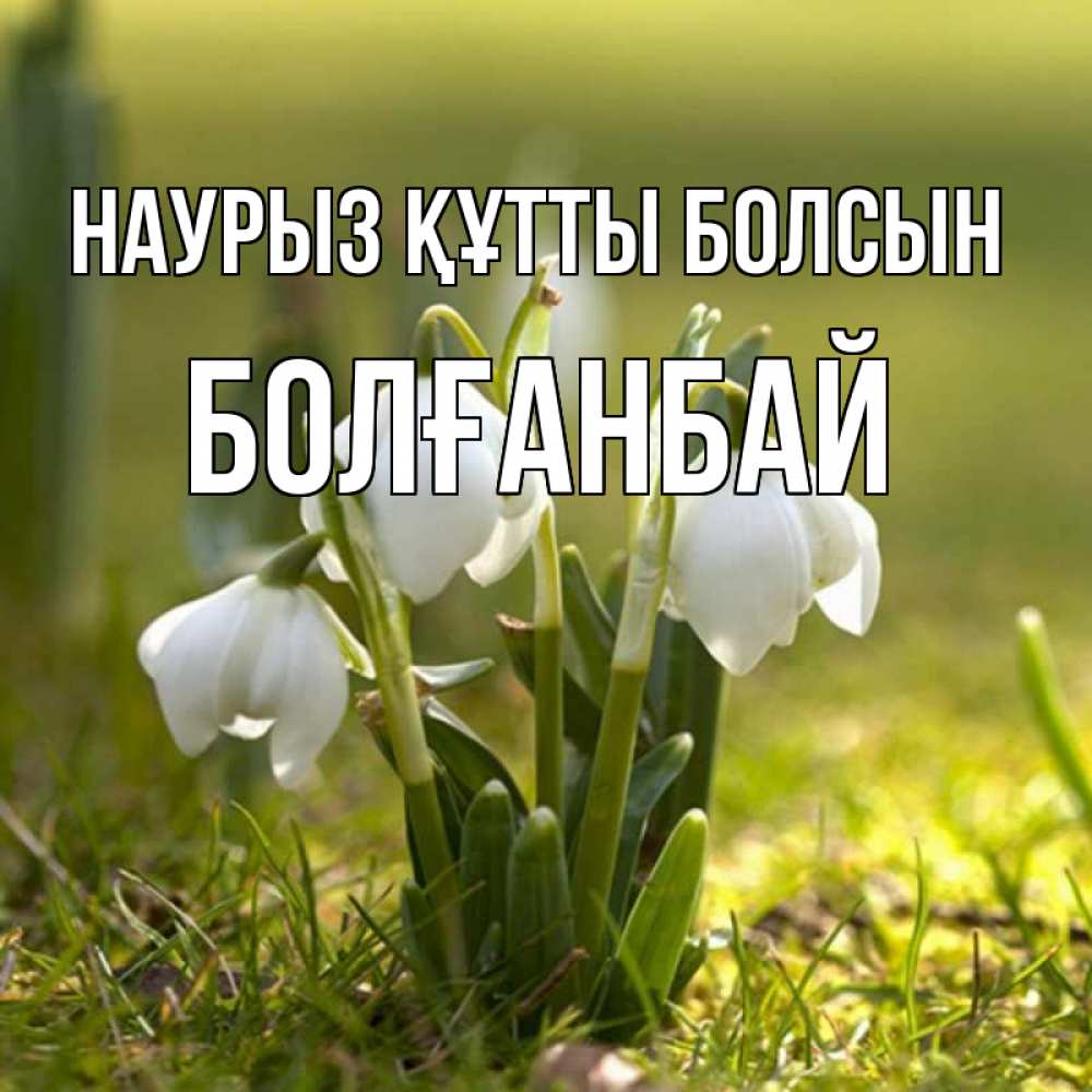 Күн сайын ашық хат с именем, Болғанбай Наурыз құтты болсын ранние цветы 2 Онлайн тегін жүктеп алу тілектері бар керемет карта 
