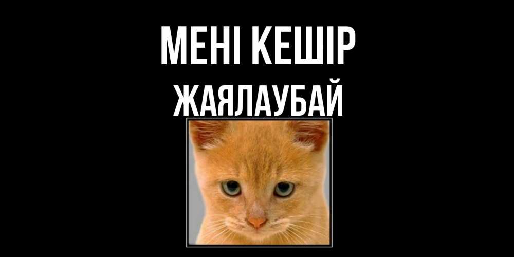 Күн сайын ашық хат с именем, Жаялаубай Мені кешір рыжий грустный кот просит прощения Онлайн тегін жүктеп алу тілектері бар керемет карта 