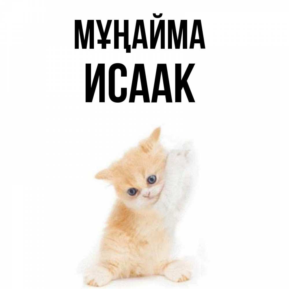 Күн сайын ашық хат с именем, Исаак Мұңайма просящий кот Онлайн тегін жүктеп алу тілектері бар керемет карта 