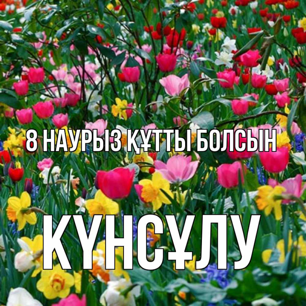 Күн сайын ашық хат с именем, КҮНСҰЛУ 8 наурыз құтты болсын с международным женским днем поздравления для женщины Онлайн тегін жүктеп алу тілектері бар керемет карта 
