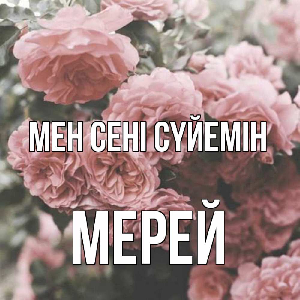 Күн сайын ашық хат с именем, МЕРЕЙ Мен сені сүйемін розы 3 Онлайн тегін жүктеп алу тілектері бар керемет карта 