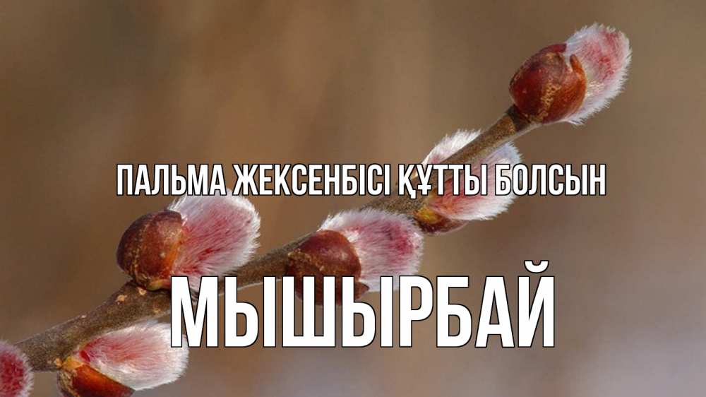 Күн сайын ашық хат с именем, МЫШЫРБАЙ Пальма жексенбісі құтты болсын верба Онлайн тегін жүктеп алу тілектері бар керемет карта 