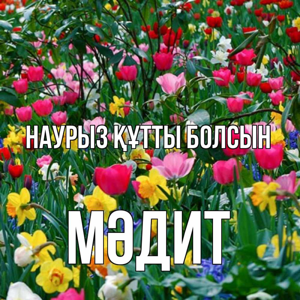 Күн сайын ашық хат с именем, МӘДИТ Наурыз құтты болсын с наурызом поздравления для женщины Онлайн тегін жүктеп алу тілектері бар керемет карта 