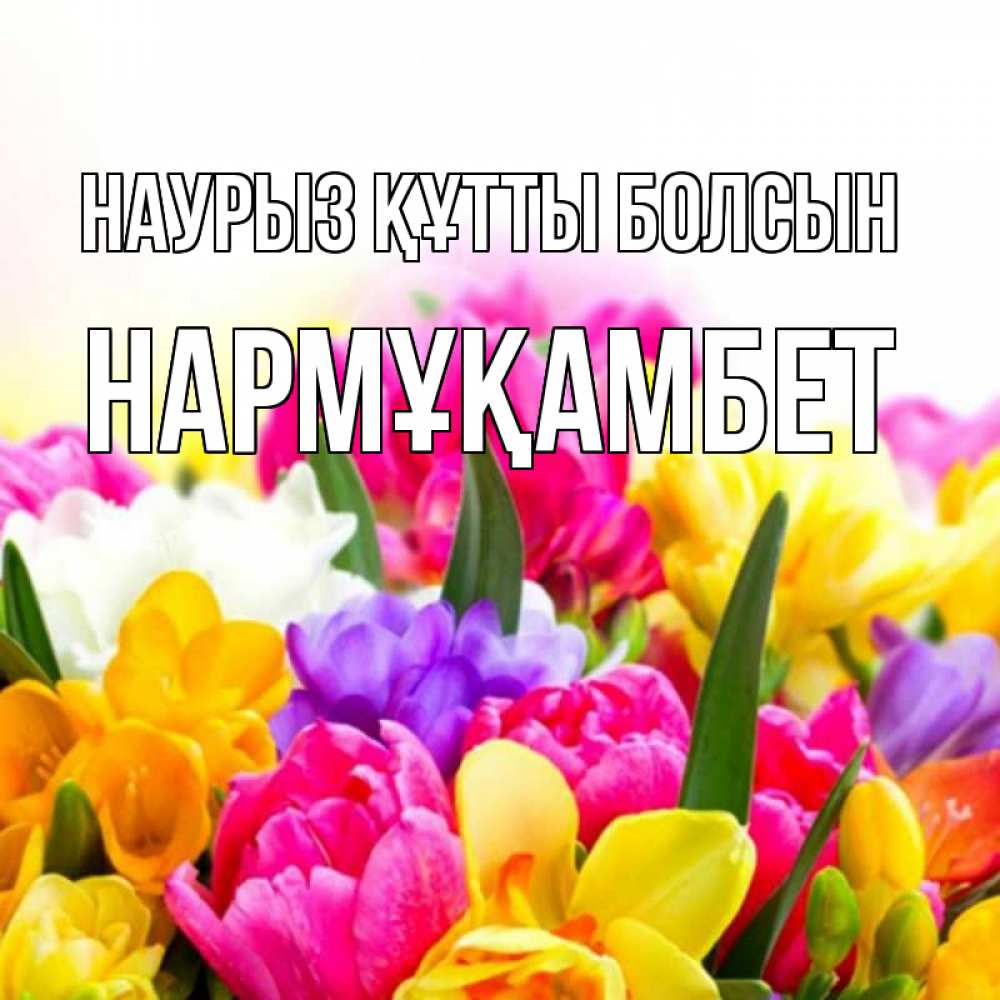 Күн сайын ашық хат с именем, НАРМҰҚАМБЕТ Наурыз құтты болсын тюльпаны Онлайн тегін жүктеп алу тілектері бар керемет карта 