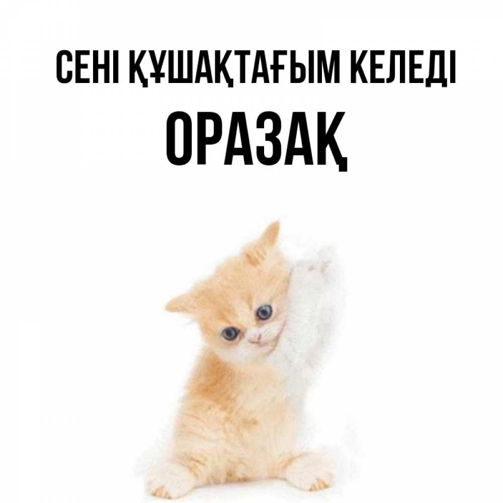 Күн сайын ашық хат с именем, ОРАЗАҚ сені құшақтағым келеді я хочу очень скорее обнимаешек Онлайн тегін жүктеп алу тілектері бар керемет карта 