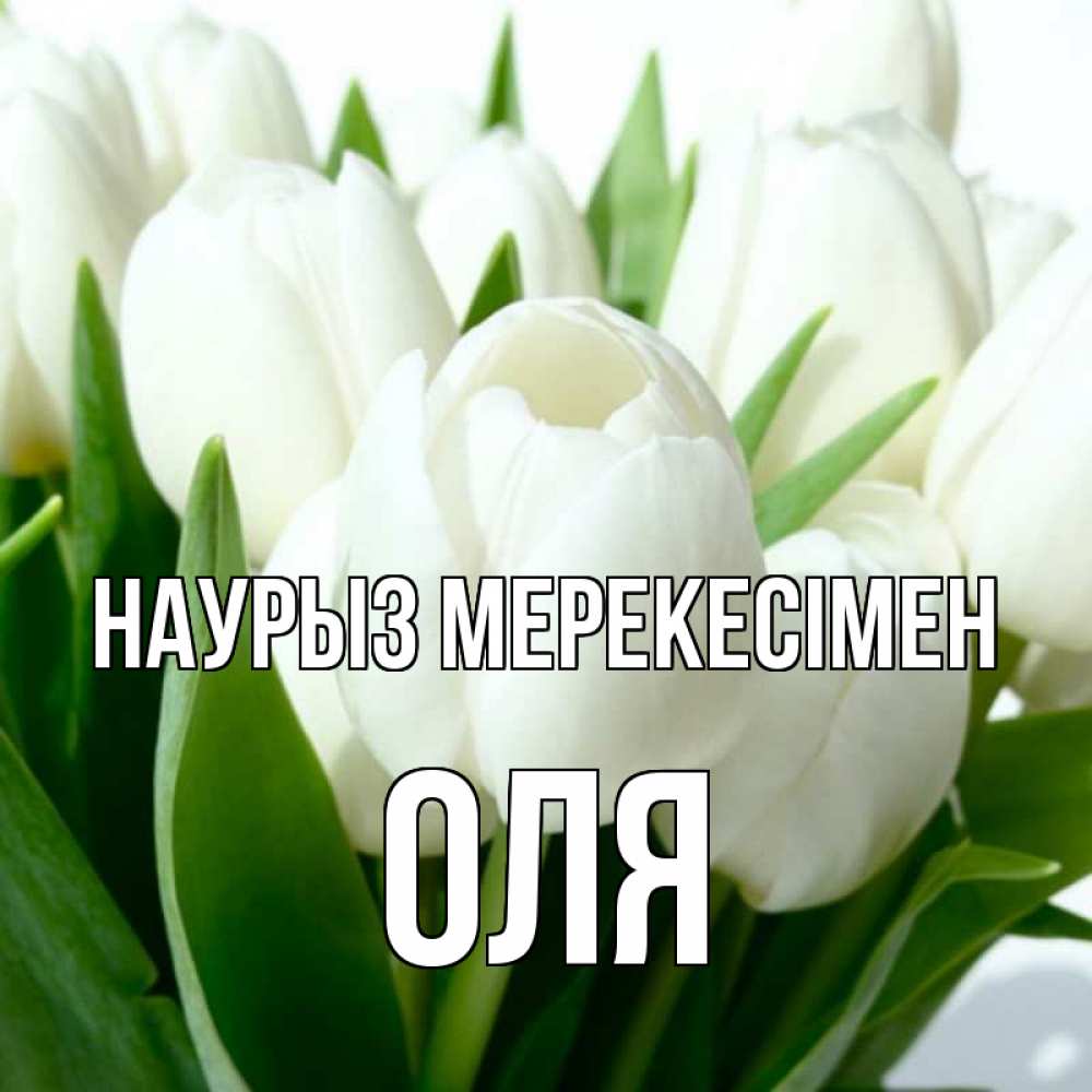Күн сайын ашық хат с именем, Оля Наурыз мерекесімен цветы Онлайн тегін жүктеп алу тілектері бар керемет карта 