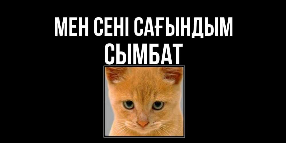 Күн сайын ашық хат с именем, СЫМБАТ Мен сені сағындым открытки рыжий котенок скучает по тебе Онлайн тегін жүктеп алу тілектері бар керемет карта 