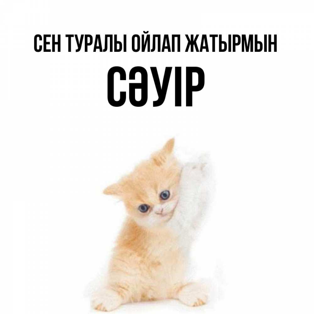 Күн сайын ашық хат с именем, СӘУІР Сен туралы ойлап жатырмын зверушки и милота Онлайн тегін жүктеп алу тілектері бар керемет карта 
