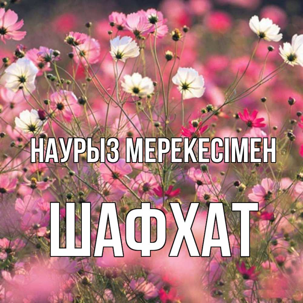 Күн сайын ашық хат с именем, ШАФХАТ Наурыз мерекесімен красиво 1 Онлайн тегін жүктеп алу тілектері бар керемет карта 