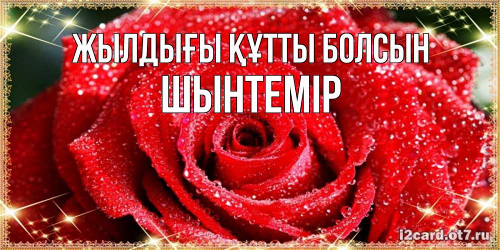 Күн сайын ашық хат с именем, ШЫНТЕМІР Жылдығы құтты болсын роса и роза. открытка с красивой розой Онлайн тегін жүктеп алу тілектері бар керемет карта 