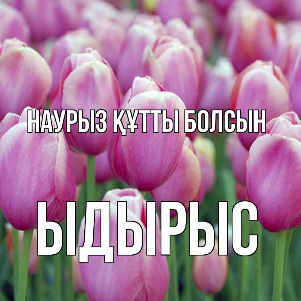 Күн сайын ашық хат с именем, ЫДЫРЫС Наурыз құтты болсын на наурыз  день 3 Онлайн тегін жүктеп алу тілектері бар керемет карта 