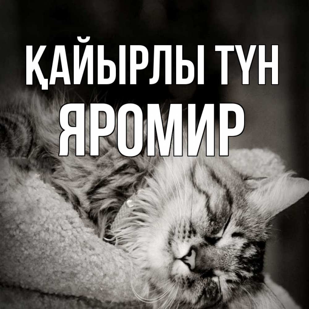 Күн сайын ашық хат с именем, Яромир Қайырлы түн котярик пушистый Онлайн тегін жүктеп алу тілектері бар керемет карта 